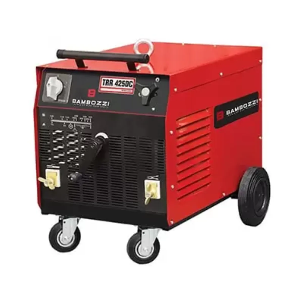 TRR 425 Bambozzi